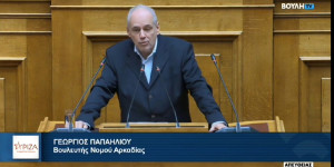 "Σε περιόδους έντασης αξιοποιείται η έννοια της τρομοκρατίας ως εργαλείου διεύρυνσης της καταστολής"